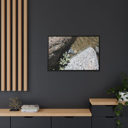 Resilience in Stone - Unique Stretched Canvas Wall Art - Art By Earth