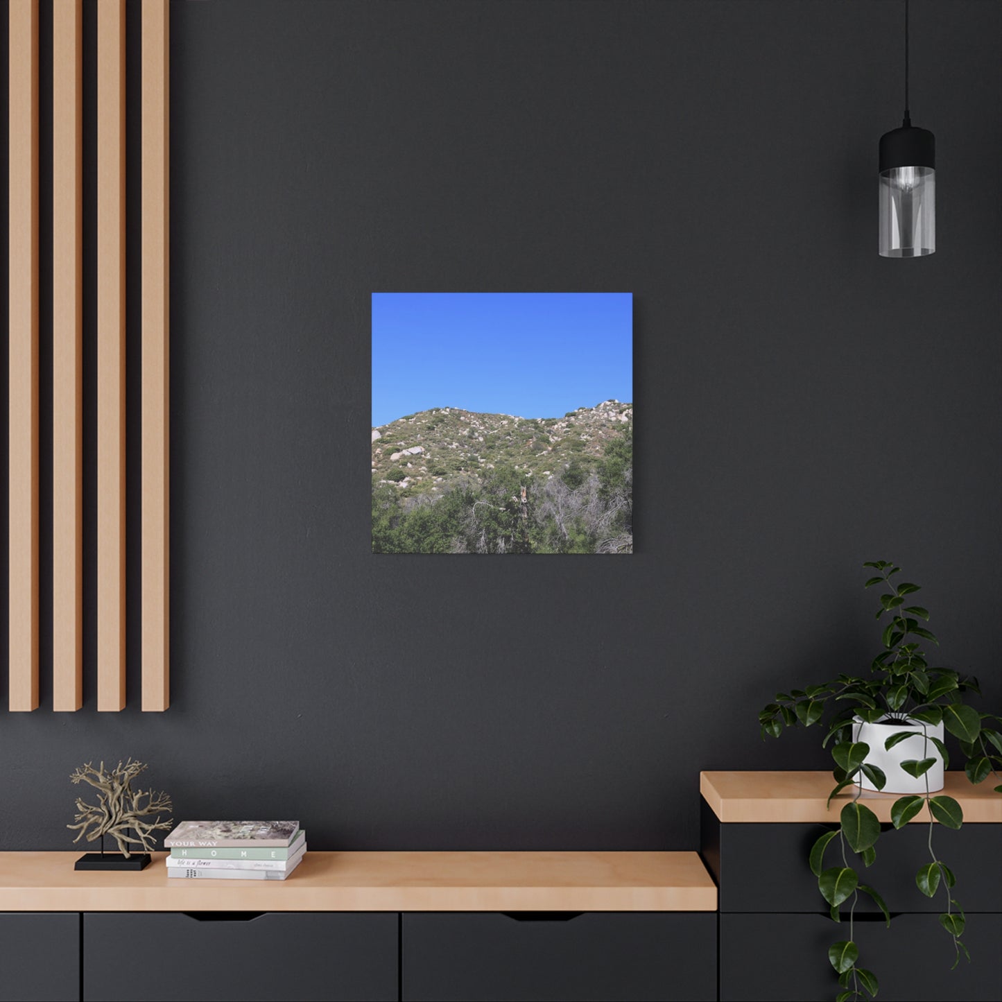 Rocky Hills with Desert Vegetation - Unique Frameless Canvas Wall Art