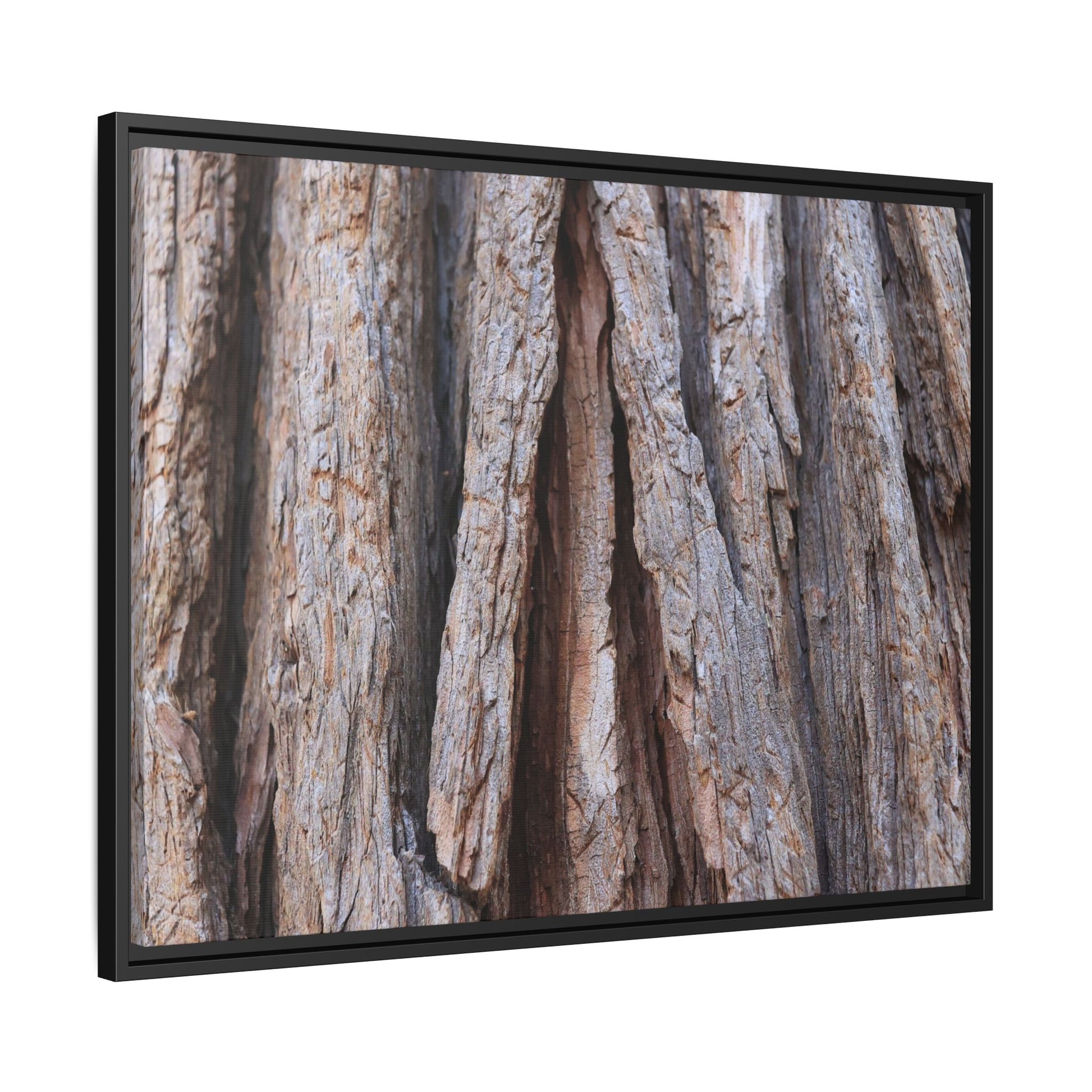 Nature's Sculpture - Unique Stretched Canvas Wall Art - Art By Earth