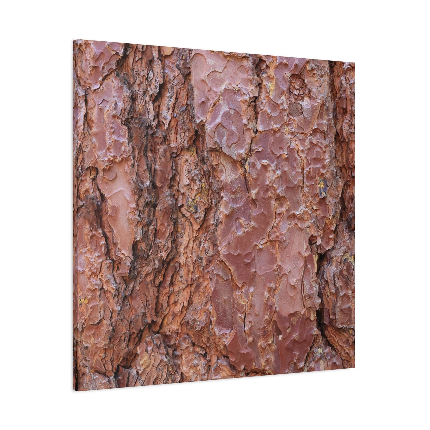 Rusty Textures - Unique Frameless Canvas Wall Art - Art By Earth