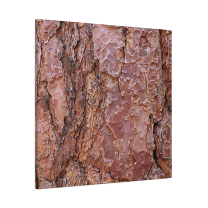 Rusty Textures - Unique Frameless Canvas Wall Art - Art By Earth