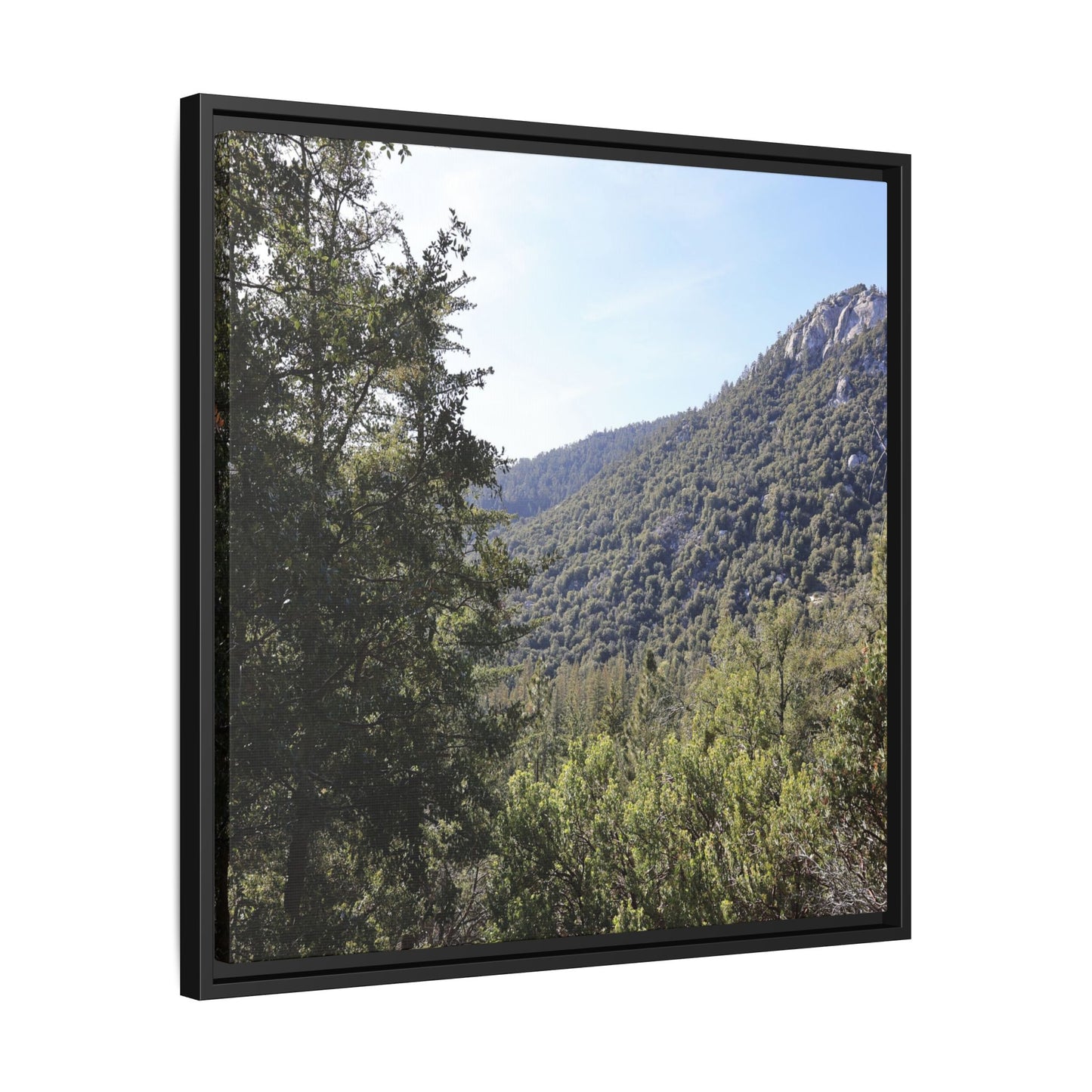 Mountain Valley Forest - Unique Stretched Canvas Wall Art