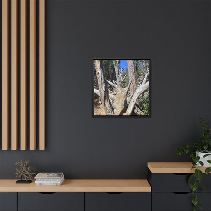 Forest Sentinels - Unique Stretched Canvas Wall Art