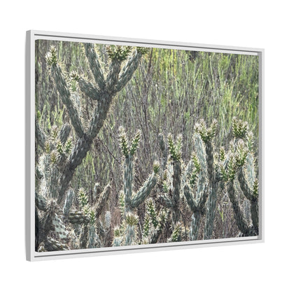 Prickly Paradise - Unique Stretched Canvas Wall Art - Art By Earth