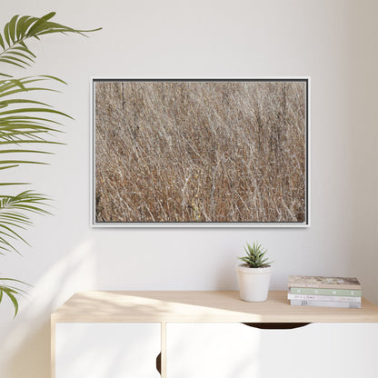 Whispers of Autumn - Unique Stretched Canvas Wall Art - Art By Earth