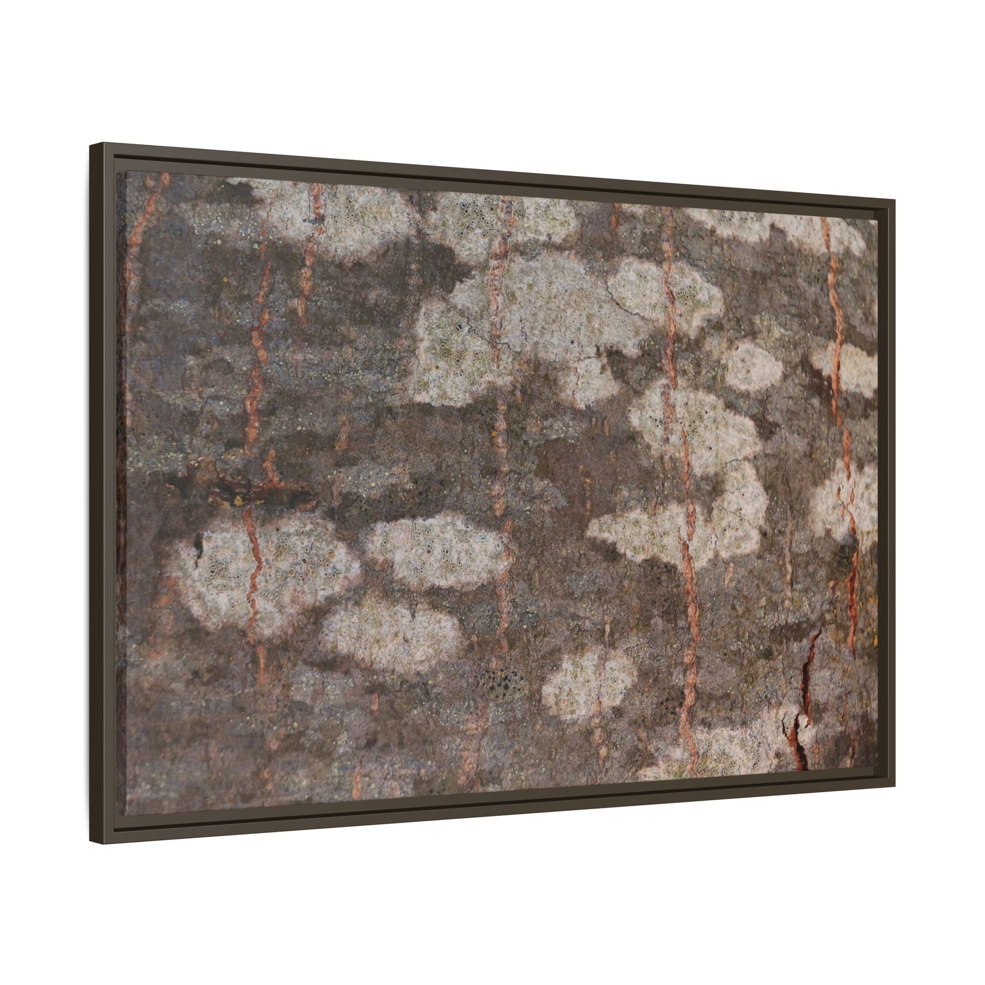 Lichen's Legacy - Unique Stretched Canvas Wall Art - Art By Earth