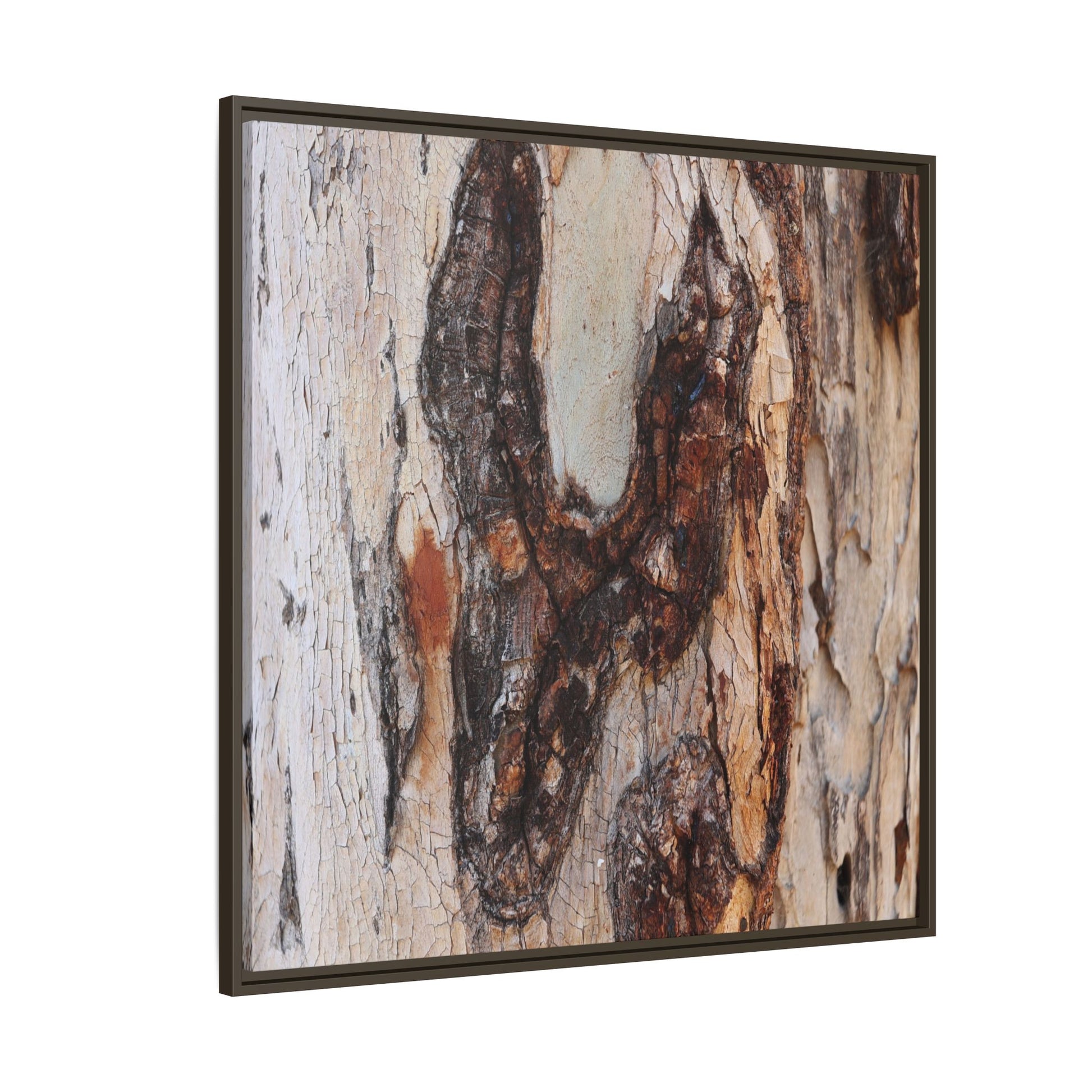 Texture of Time - Unique Stretched Canvas Wall Art - Art By Earth