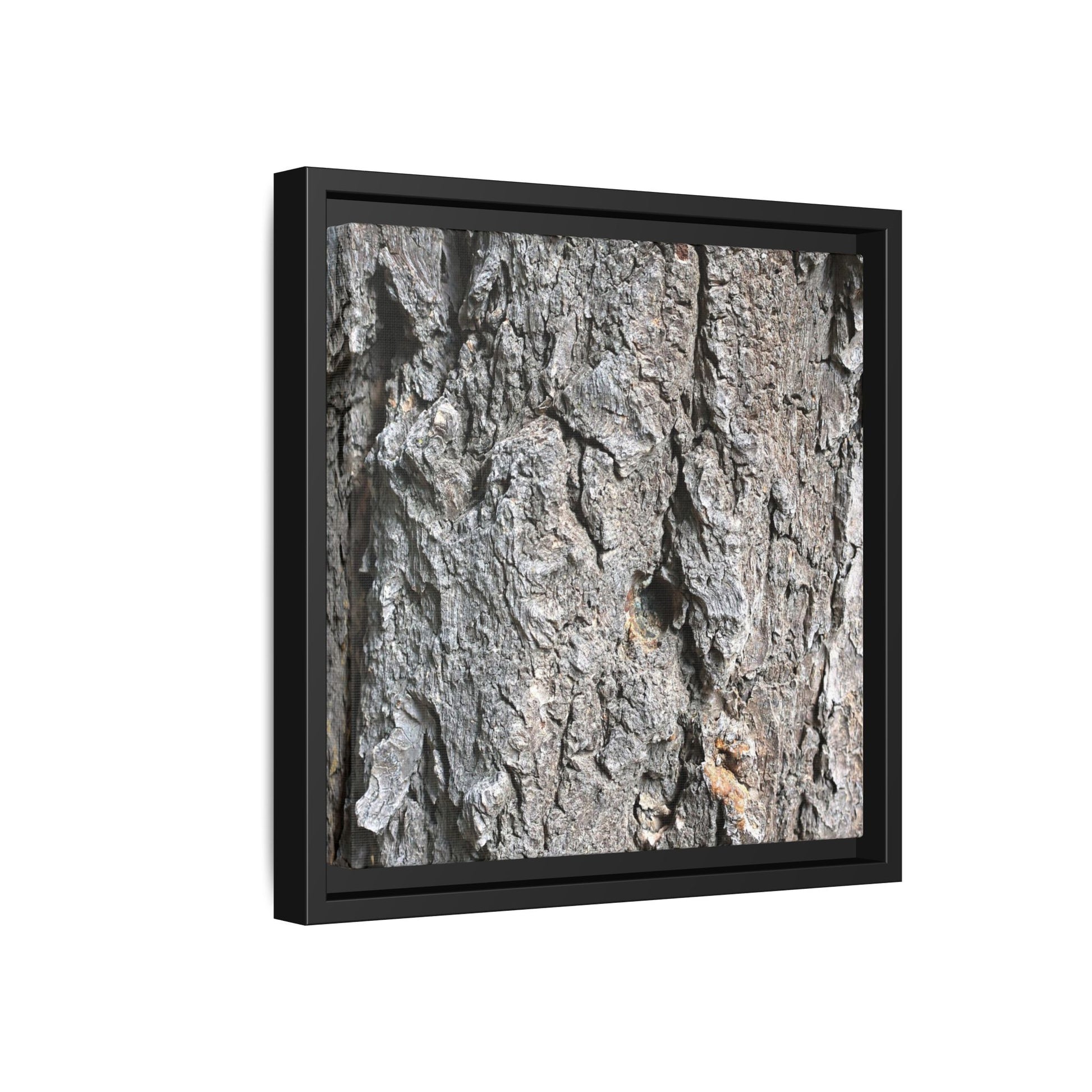 Crusty Exterior - Unique Stretched Canvas Wall Art - Art By Earth