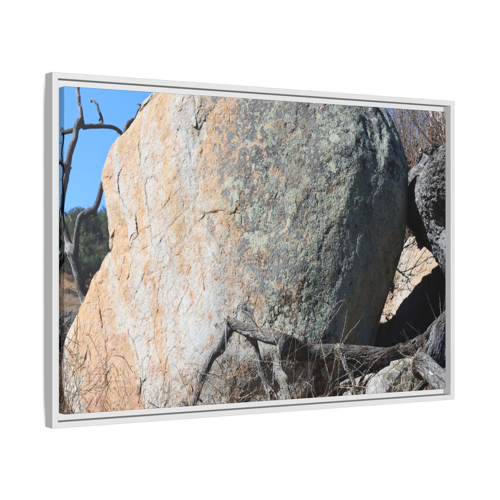 Stony Sentinel - Unique Stretched Canvas Wall Art - Art By Earth