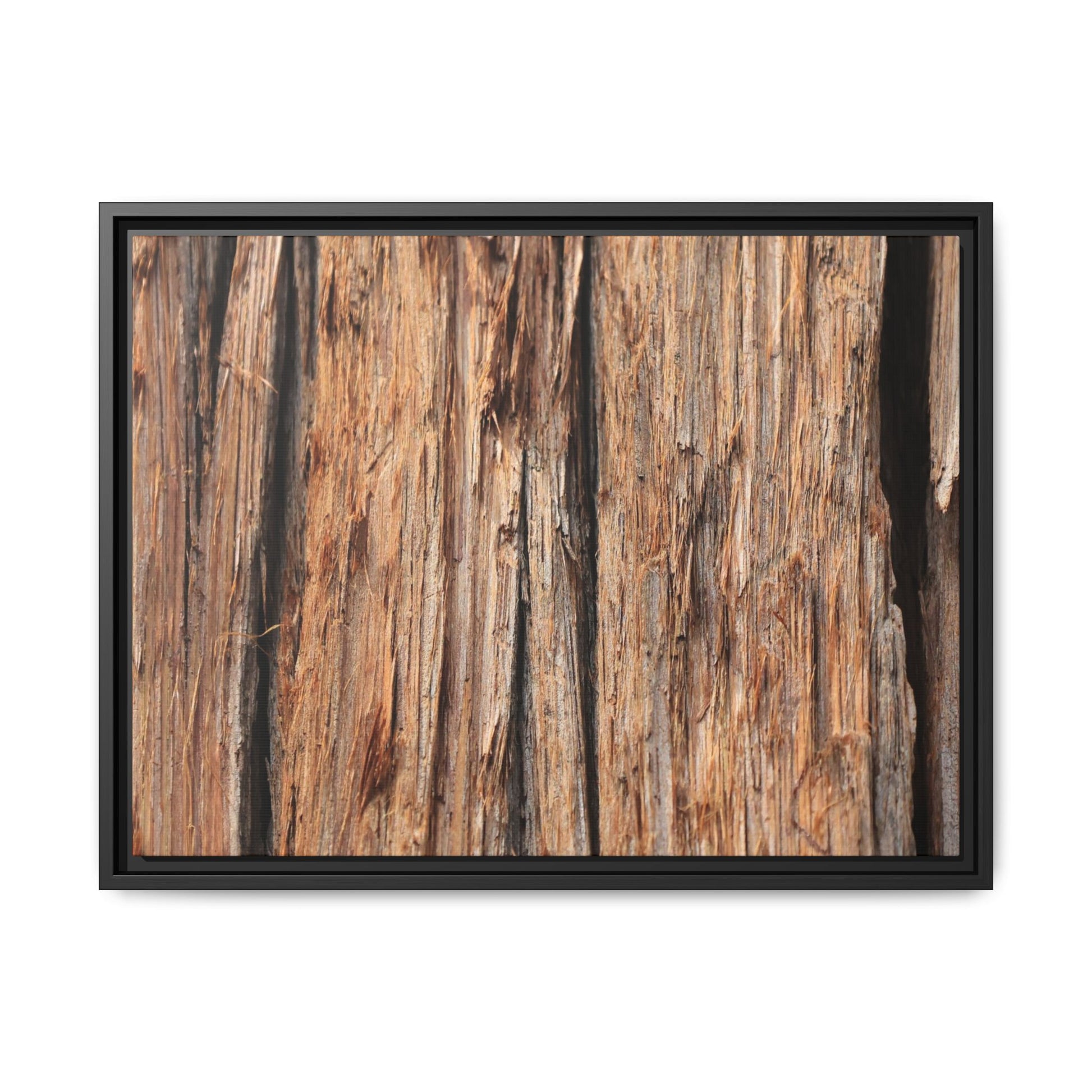 Timber Echoes - Unique Stretched Canvas Wall Art - Art By Earth