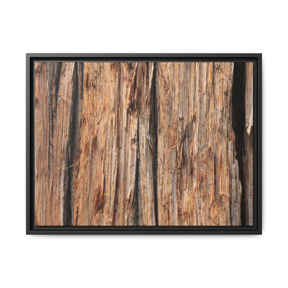 Timber Echoes - Unique Stretched Canvas Wall Art - Art By Earth