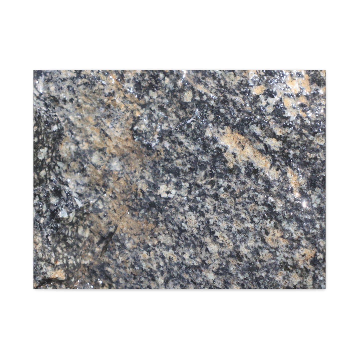 Metamorphic Memory - Unique Frameless Canvas Wall Art - Art By Earth