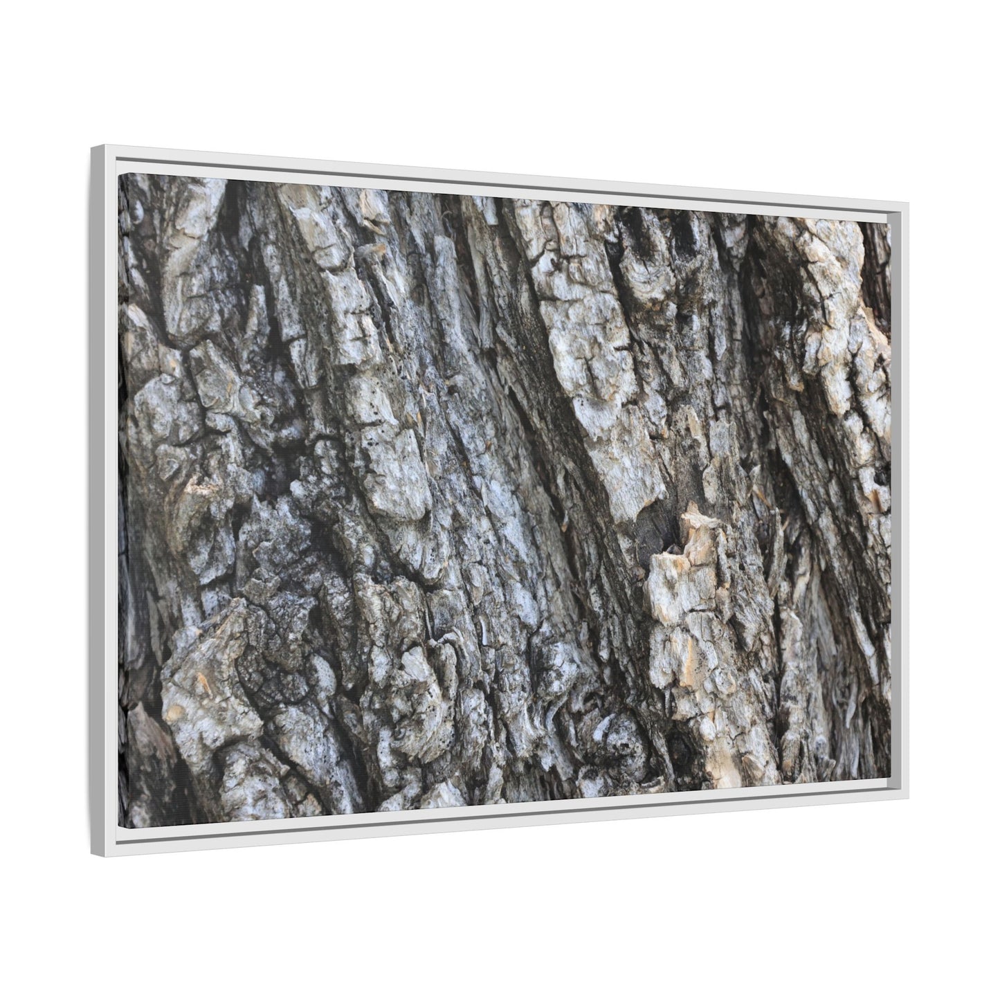 Twisted Textures - Unique Stretched Canvas Wall Art - Art By Earth