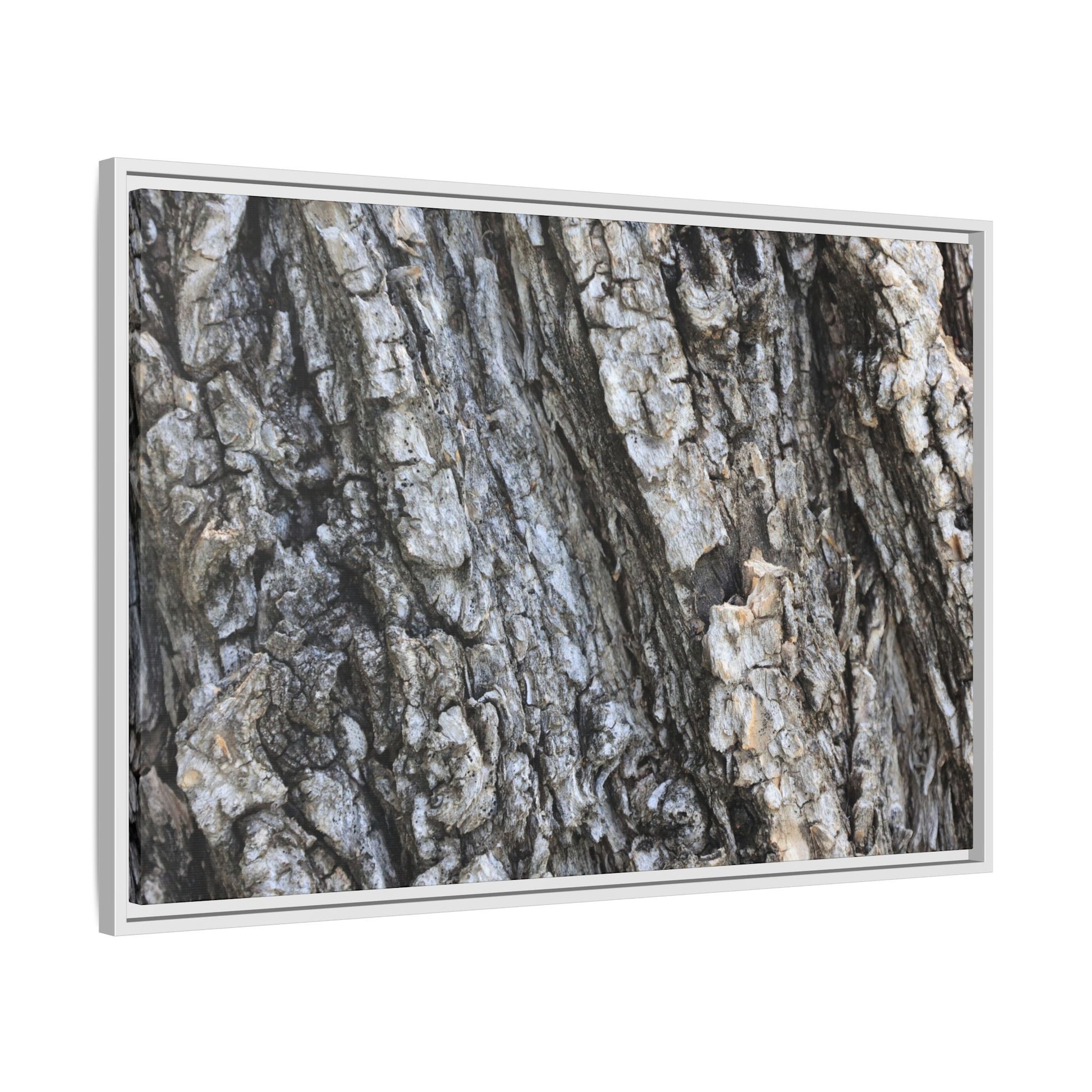 Twisted Textures - Unique Stretched Canvas Wall Art - Art By Earth
