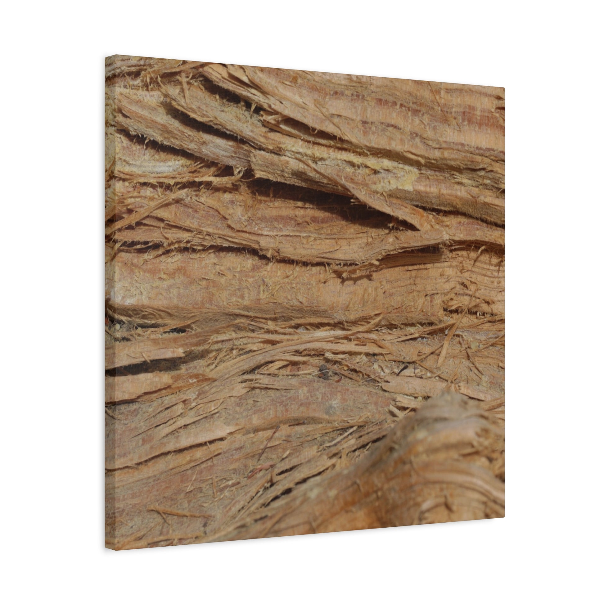 Layers of Memory - Unique Frameless Canvas Wall Art - Art By Earth