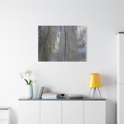 Split Log - Unique Frameless Canvas Wall Art
