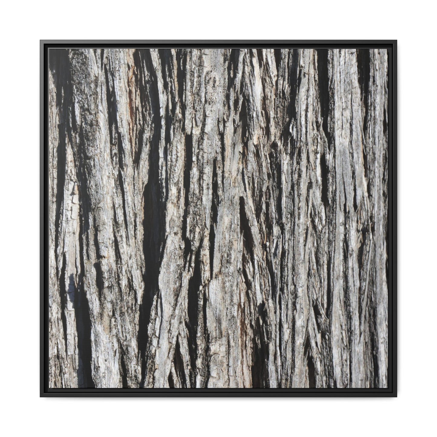 Nature's Abstract - Unique Stretched Canvas Wall Art - Art By Earth
