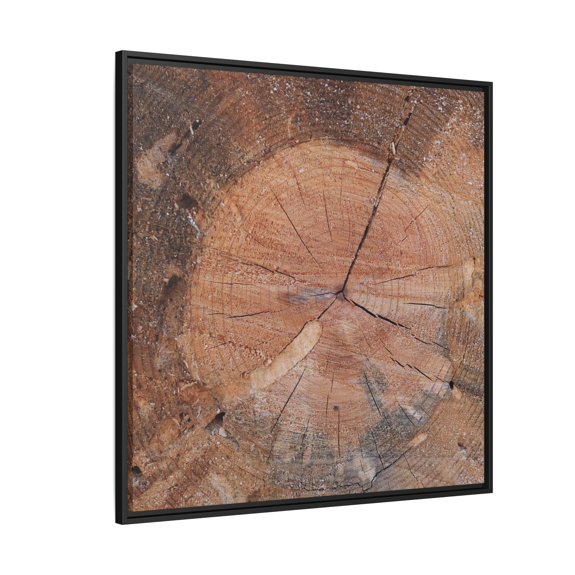 Concentric Memories - Unique Stretched Canvas Wall Art - Art By Earth