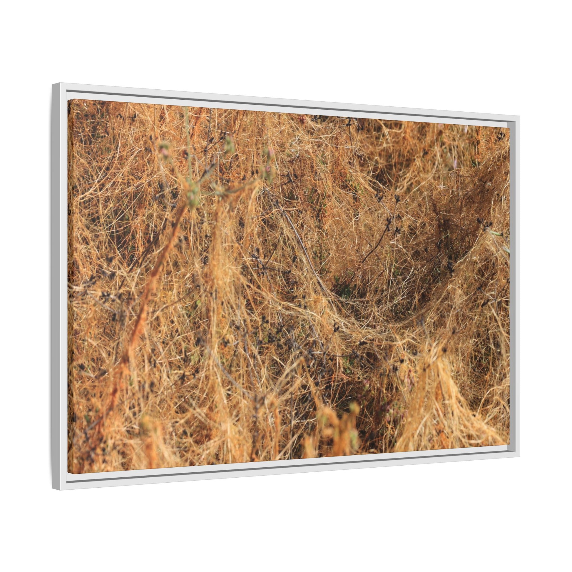 Dried Vegetation Study - Unique Stretched Canvas Wall Art - Art By Earth