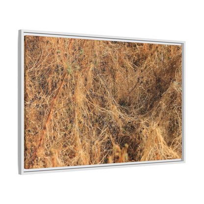 Dried Vegetation Study - Unique Stretched Canvas Wall Art - Art By Earth