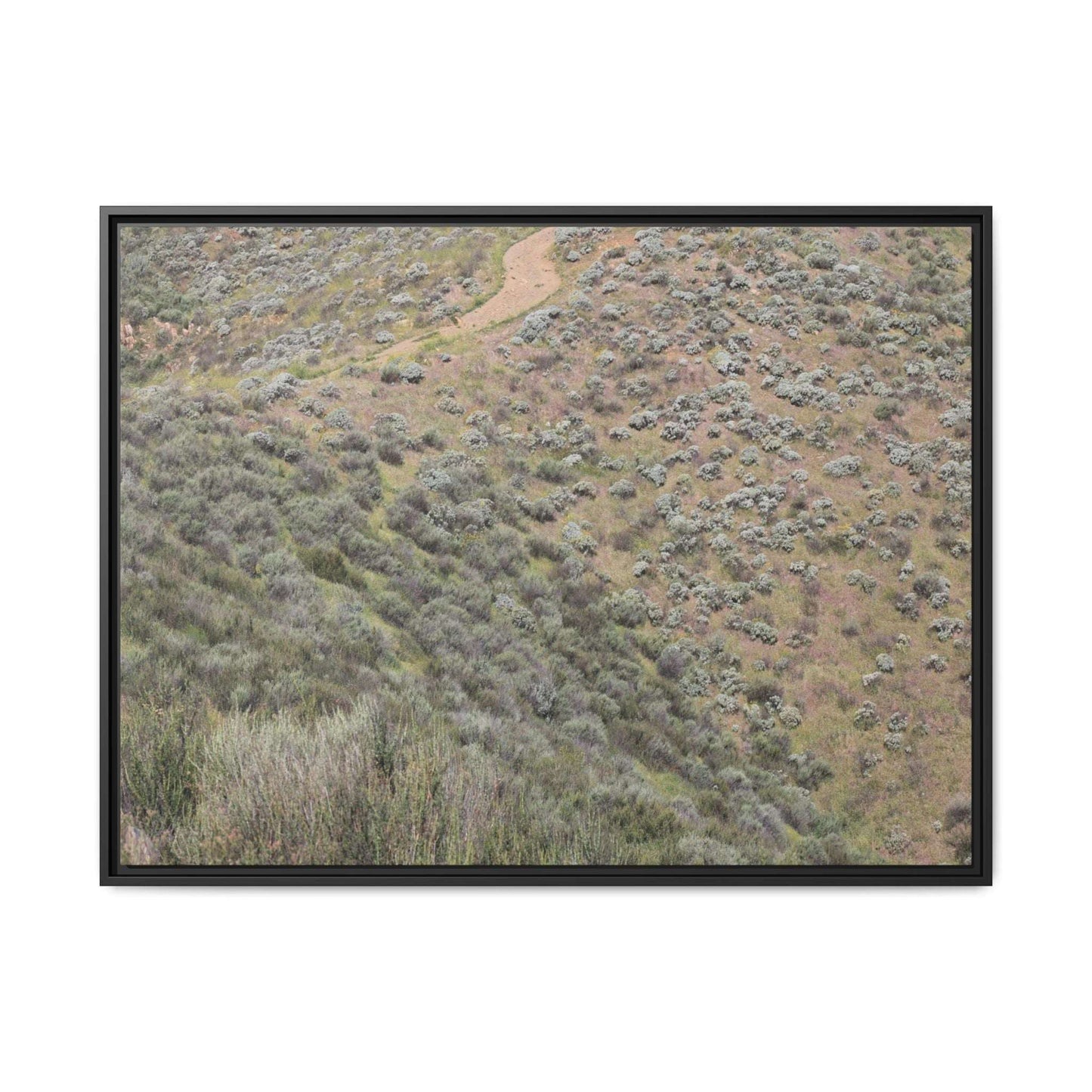 Arid Landscape with Winding Path - Unique Stretched Canvas Wall Art - Art By Earth
