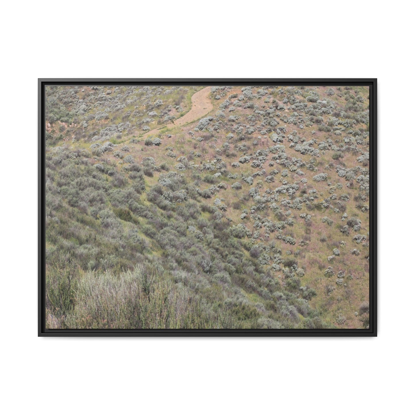 Arid Landscape with Winding Path - Unique Stretched Canvas Wall Art - Art By Earth