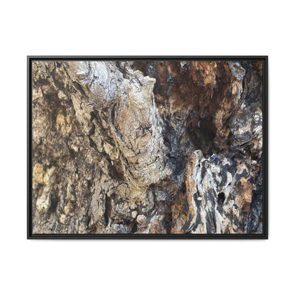 Ancient Tree Texture - Unique Stretched Canvas Wall Art - Art By Earth