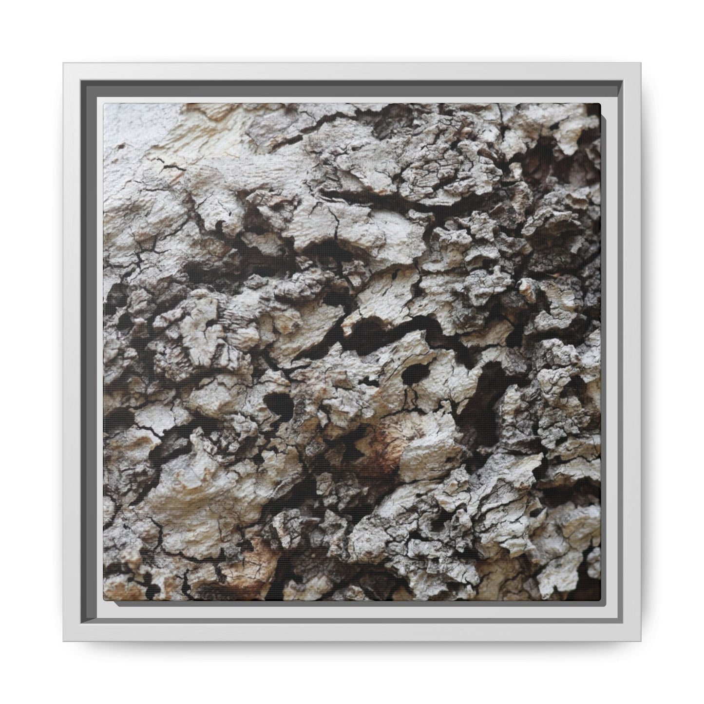 Cracked Terrain - Unique Stretched Canvas Wall Art - Art By Earth