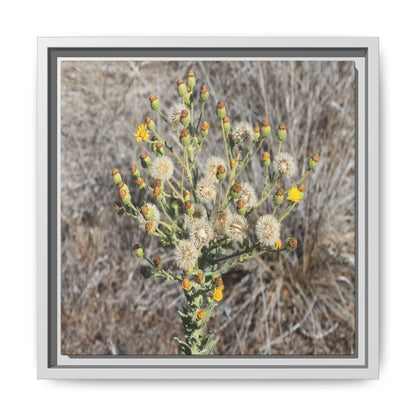 Whispers of the Dry Grass - Unique Stretched Canvas Wall Art - Art By Earth