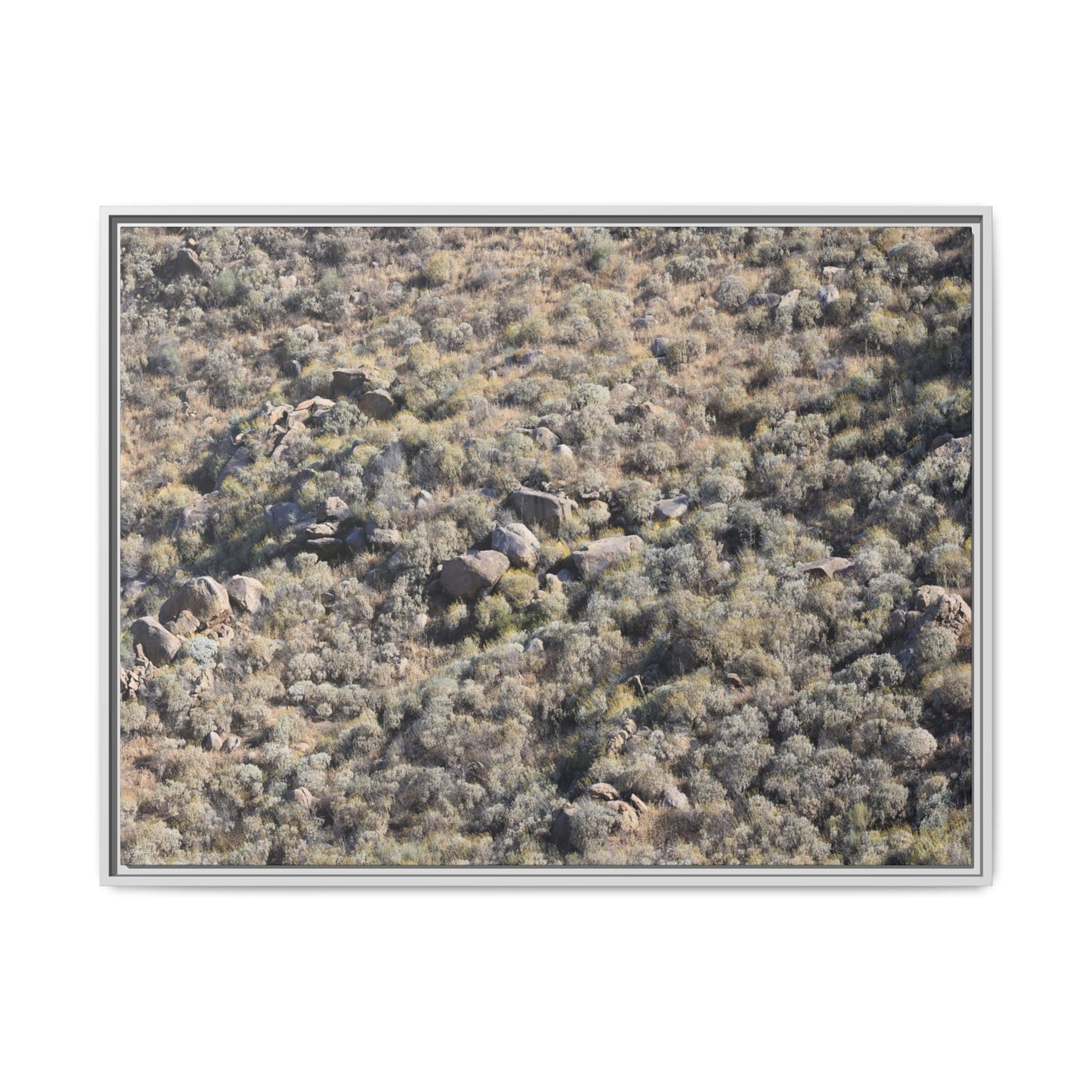 Arid Terrain Study - Unique Stretched Canvas Wall Art - Art By Earth