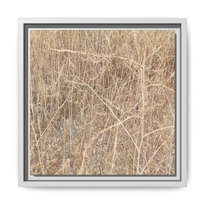 Golden Stalks - Unique Stretched Canvas Wall Art - Art By Earth