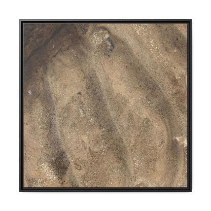 Tidal Pool Secrets - Unique Stretched Canvas Wall Art - Art By Earth