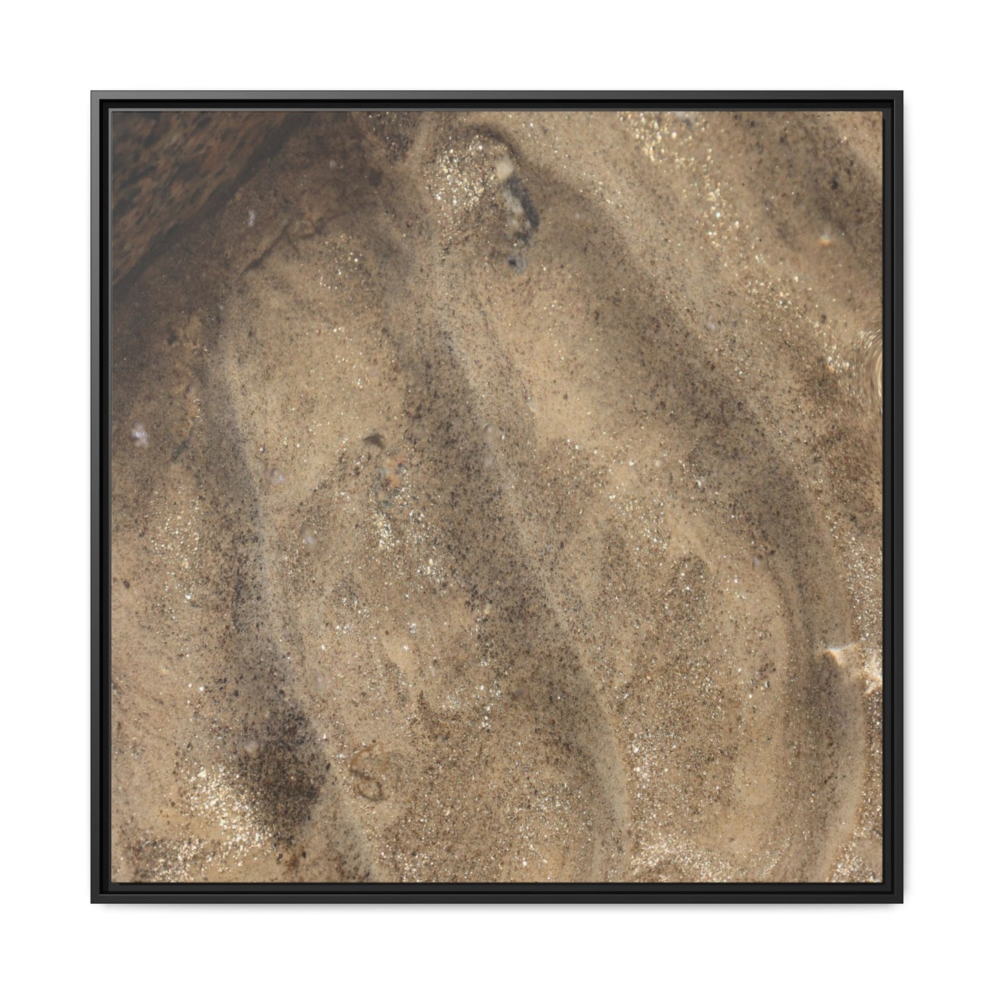 Tidal Pool Secrets - Unique Stretched Canvas Wall Art - Art By Earth