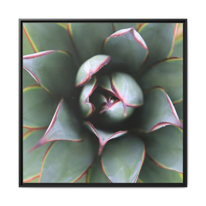 Spiky Elegance - Unique Stretched Canvas Wall Art - Art By Earth