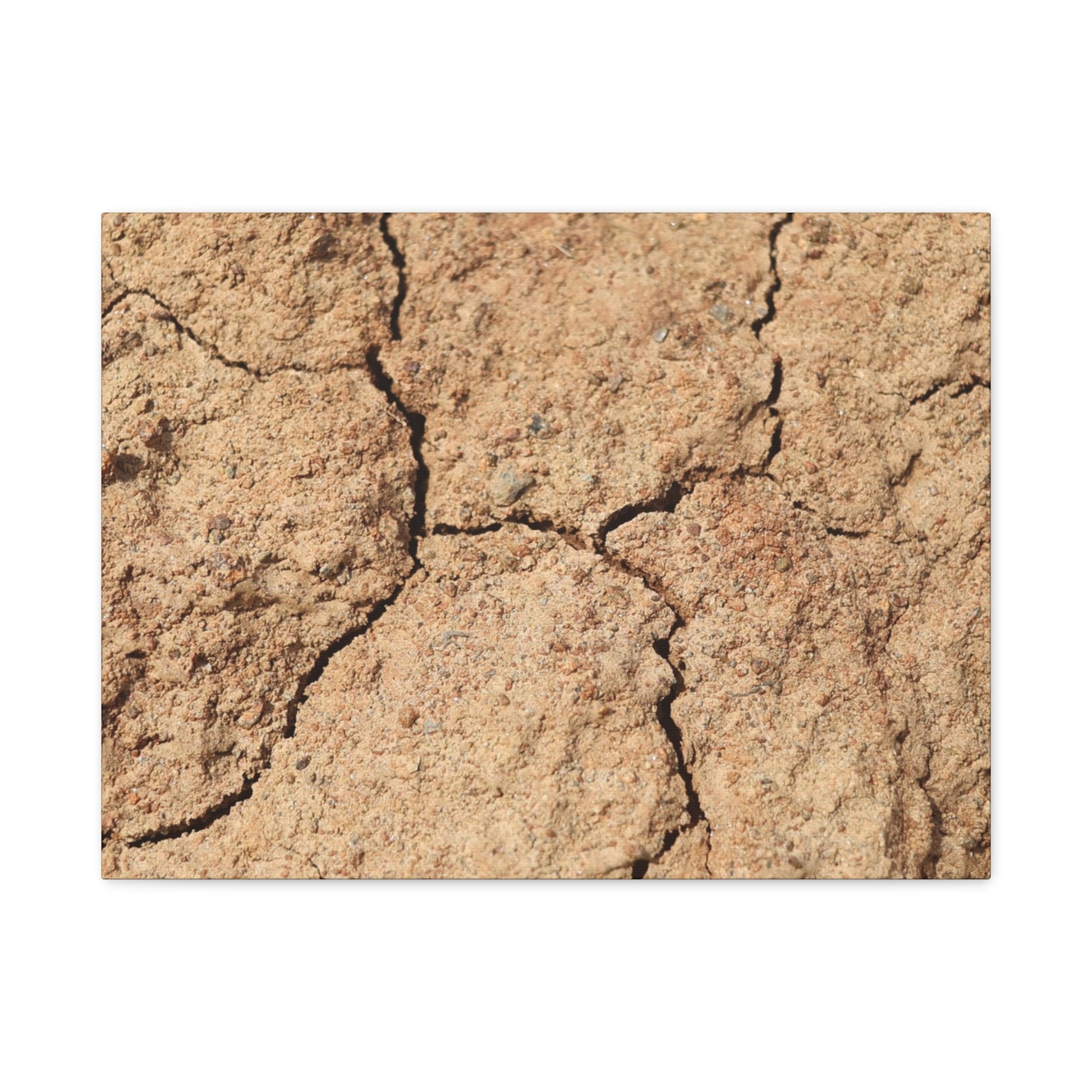Cracked Earth's Lament - Unique Frameless Canvas Wall Art - Art By Earth