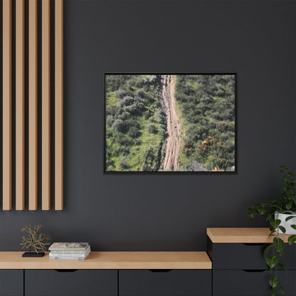 Desert Path Through Sage - Unique Stretched Canvas Wall Art - Art By Earth