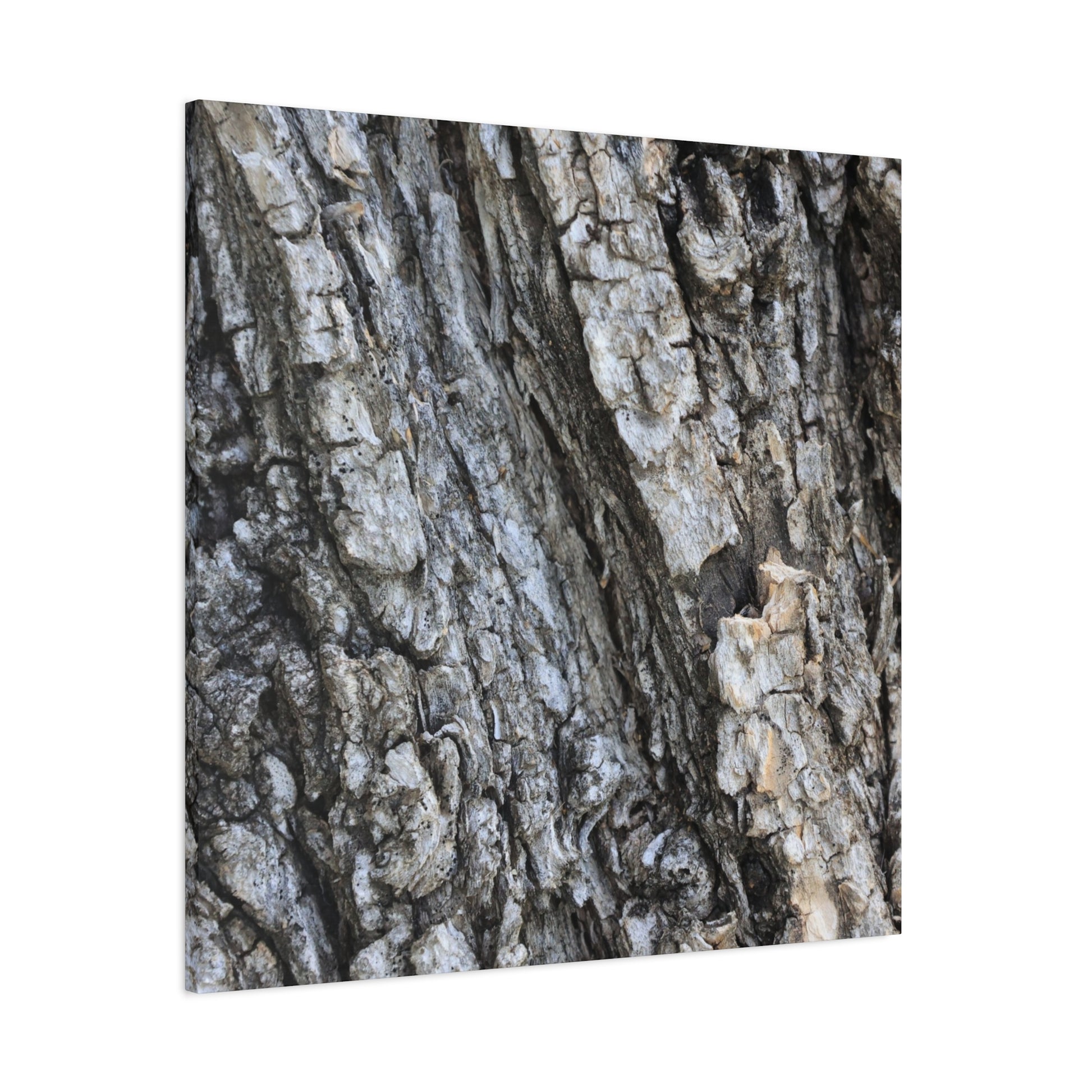 Nature's Rough Embrace - Unique Frameless Canvas Wall Art - Art By Earth