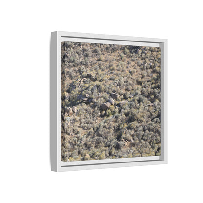 Arid Terrain Study - Unique Stretched Canvas Wall Art - Art By Earth