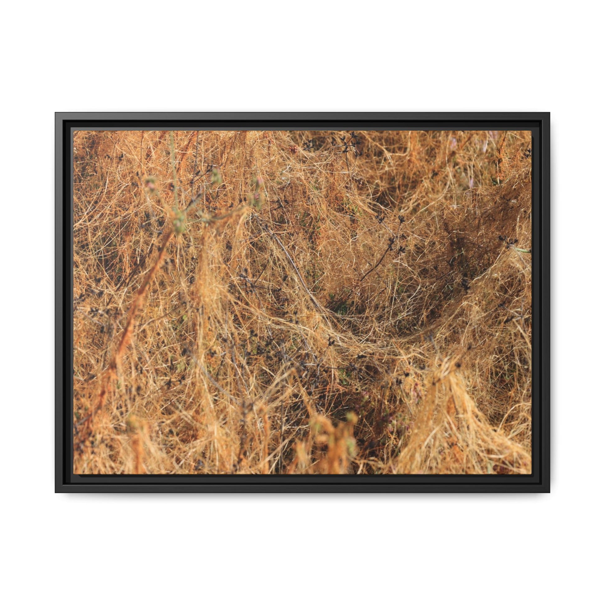 Dried Vegetation Study - Unique Stretched Canvas Wall Art - Art By Earth