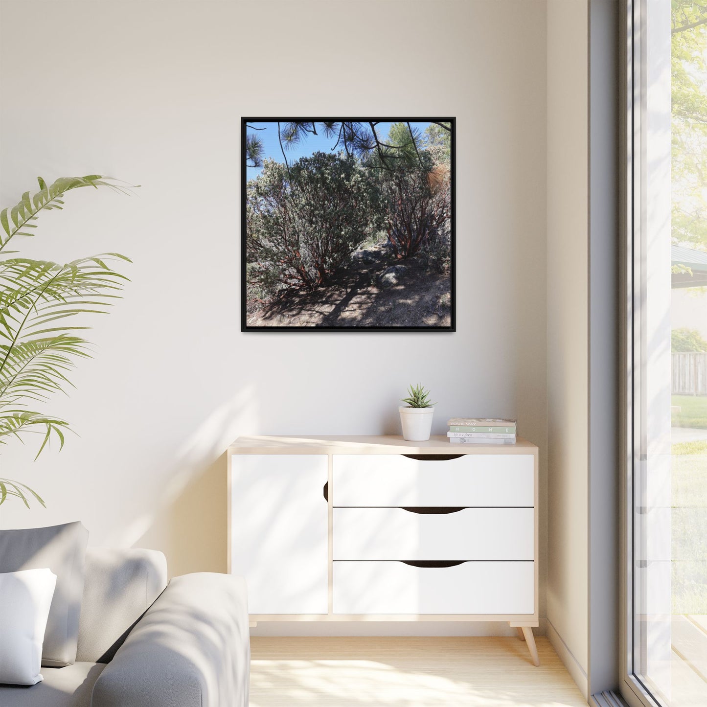 Desert Trail Through Blooming Manzanita - Unique Stretched Canvas Wall Art