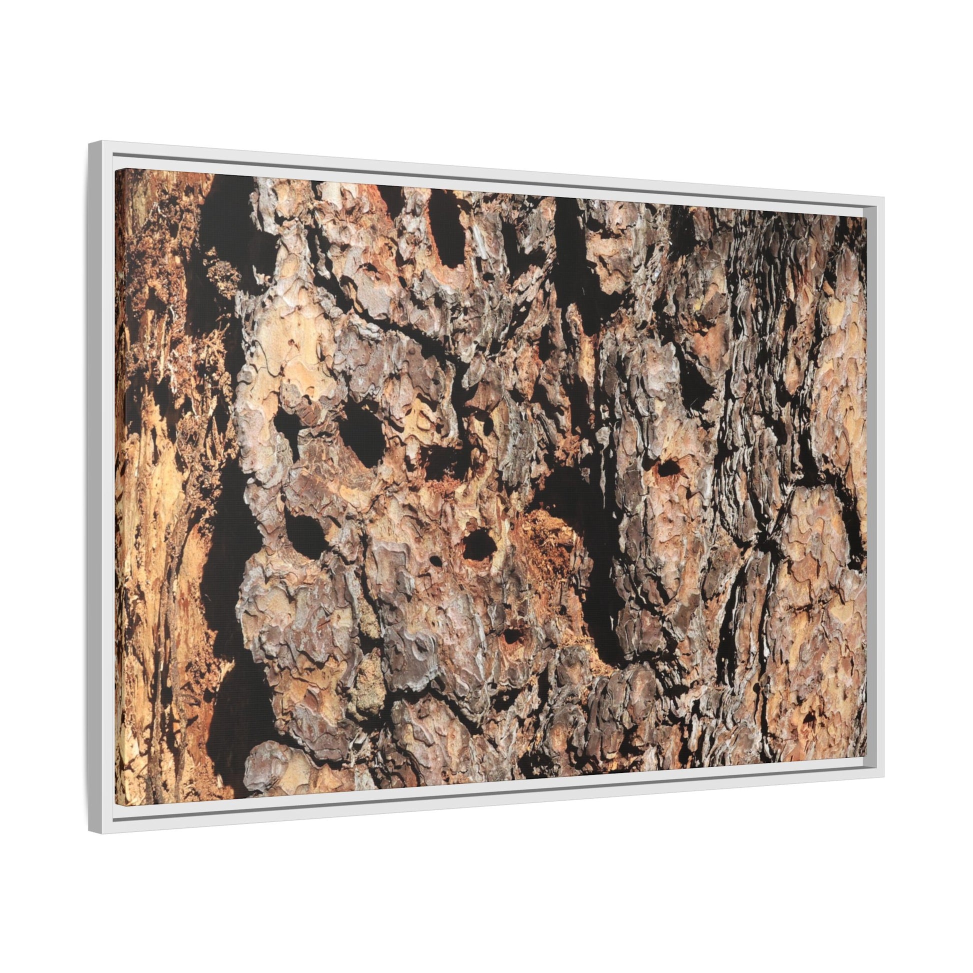 Rugged Rhythms - Unique Stretched Canvas Wall Art - Art By Earth