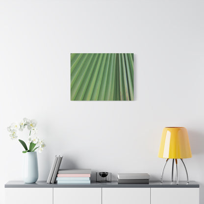 Palm Pulse - Unique Frameless Canvas Wall Art - Art By Earth
