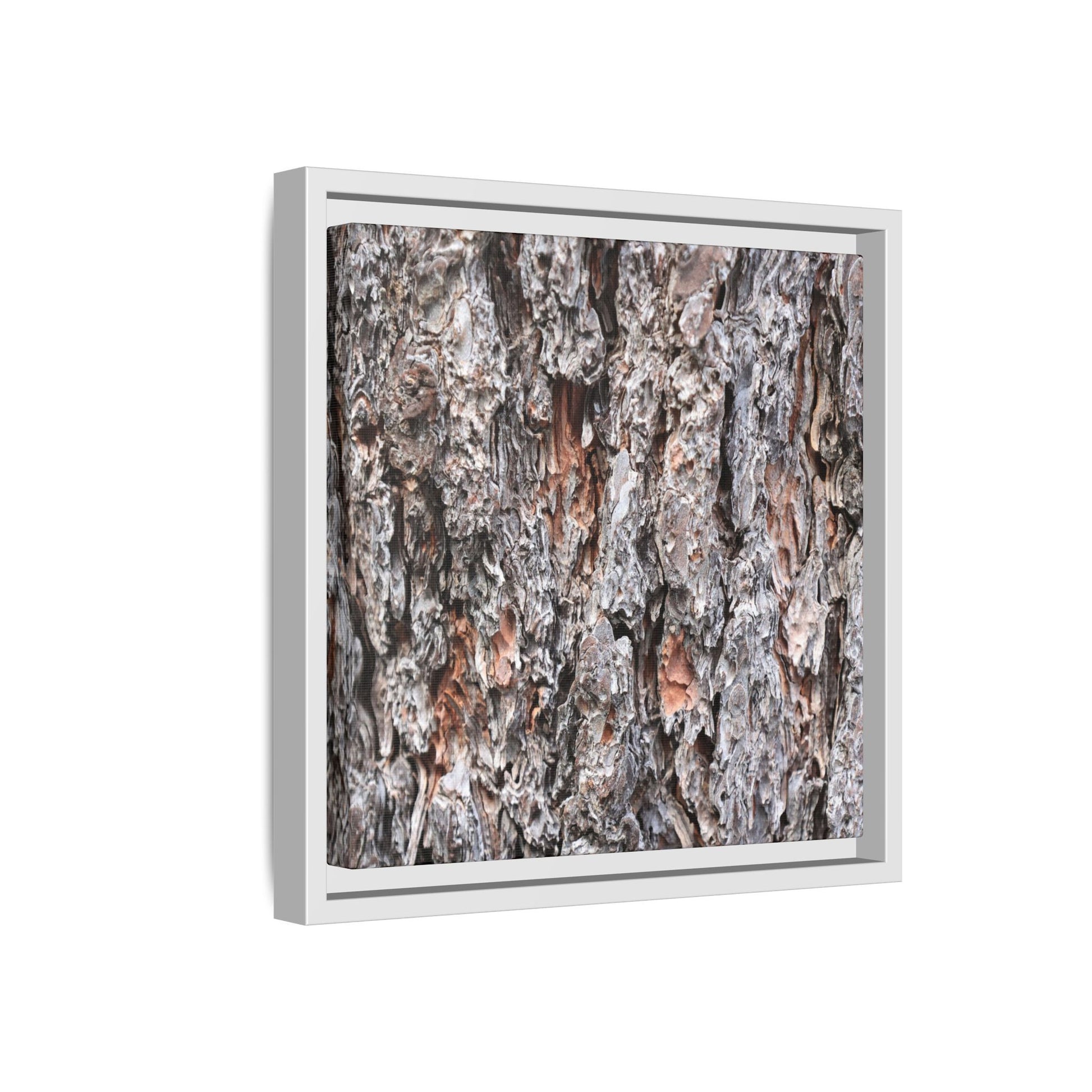 Rugged Cortex - Unique Stretched Canvas Wall Art - Art By Earth