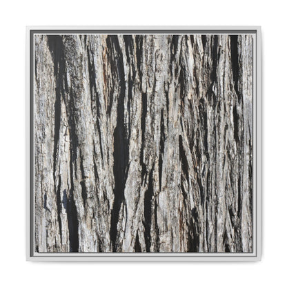 Bark Lines - Unique Stretched Canvas Wall Art - Art By Earth