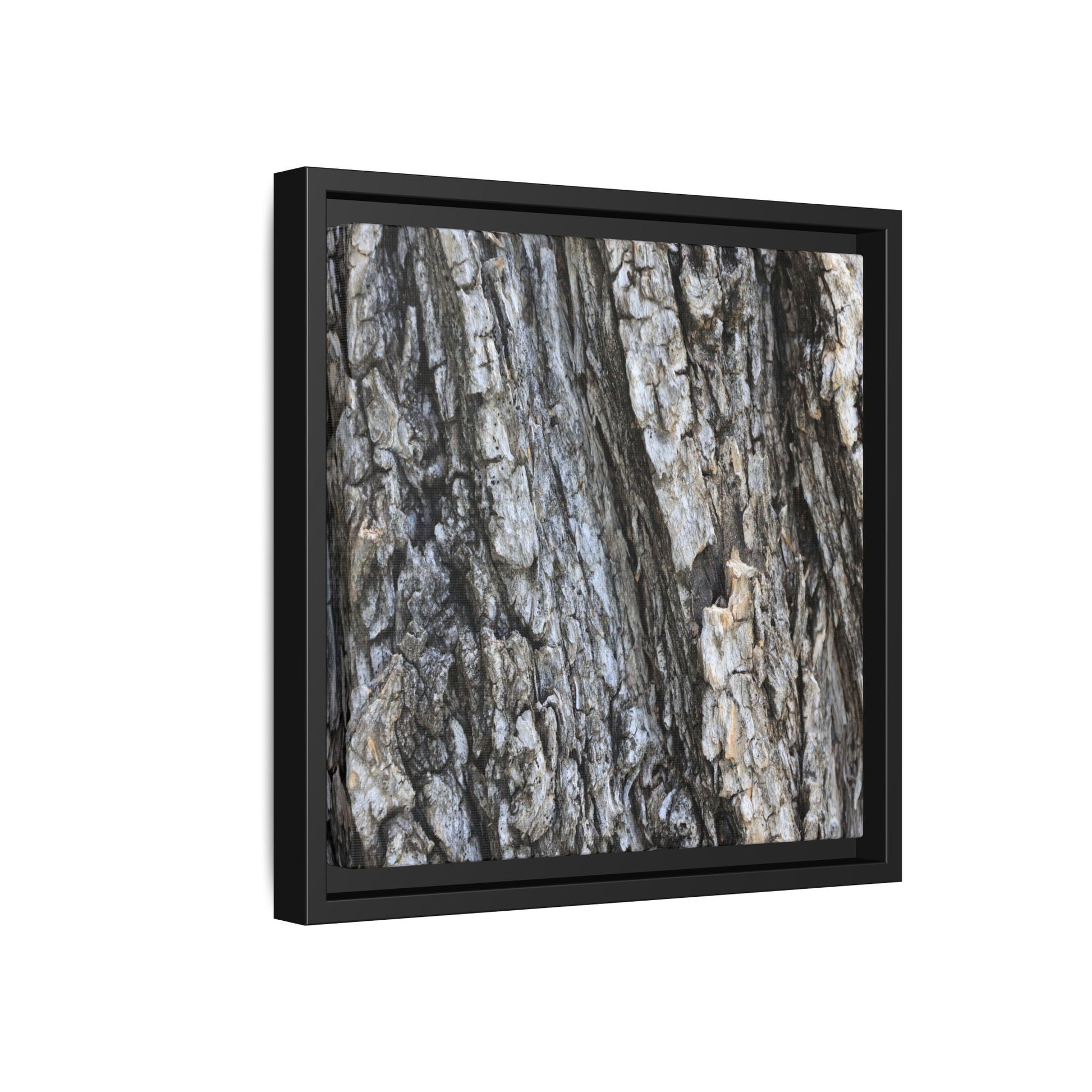 Twisted Textures - Unique Stretched Canvas Wall Art - Art By Earth