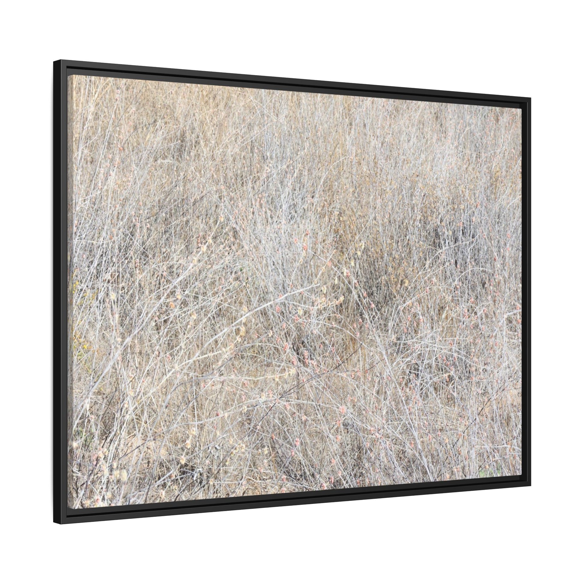 Whispers of Dry Grass - Unique Stretched Canvas Wall Art - Art By Earth