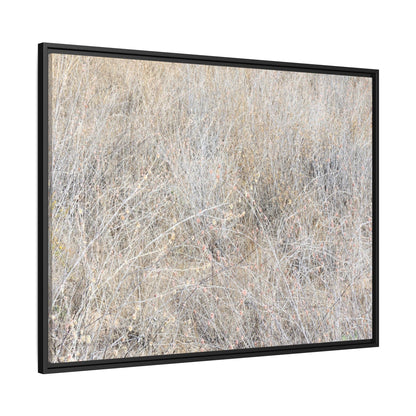 Whispers of Dry Grass - Unique Stretched Canvas Wall Art - Art By Earth