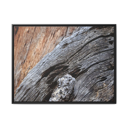 Time's Mark on Timber - Unique Stretched Canvas Wall Art - Art By Earth