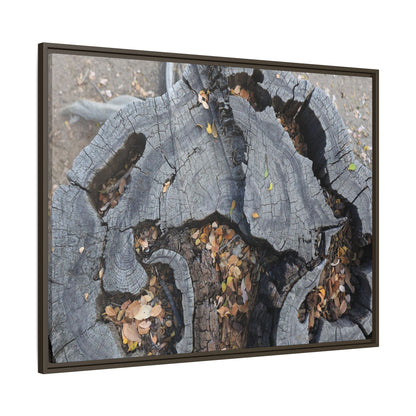 Time's Fractal Memory - Unique Stretched Canvas Wall Art - Art By Earth