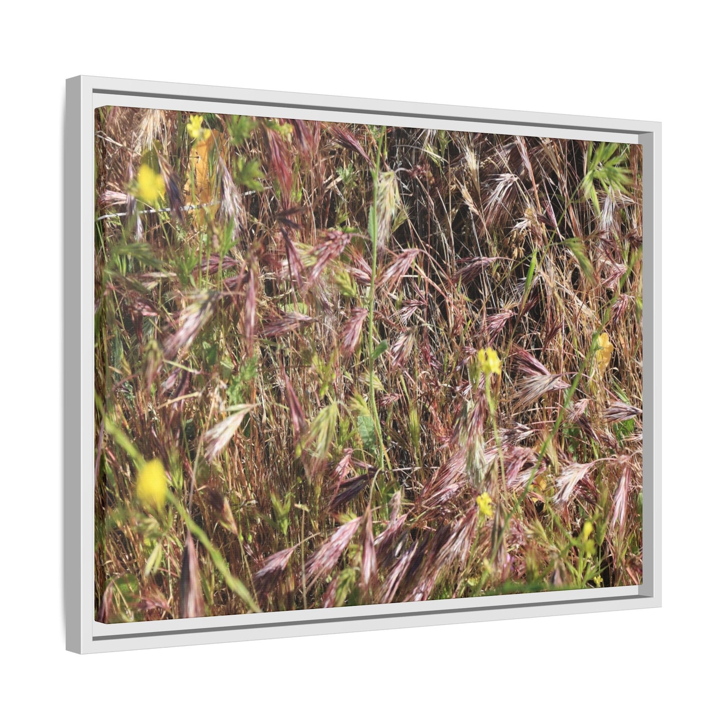 Autumn Meadow - Unique Stretched Canvas Wall Art - Art By Earth